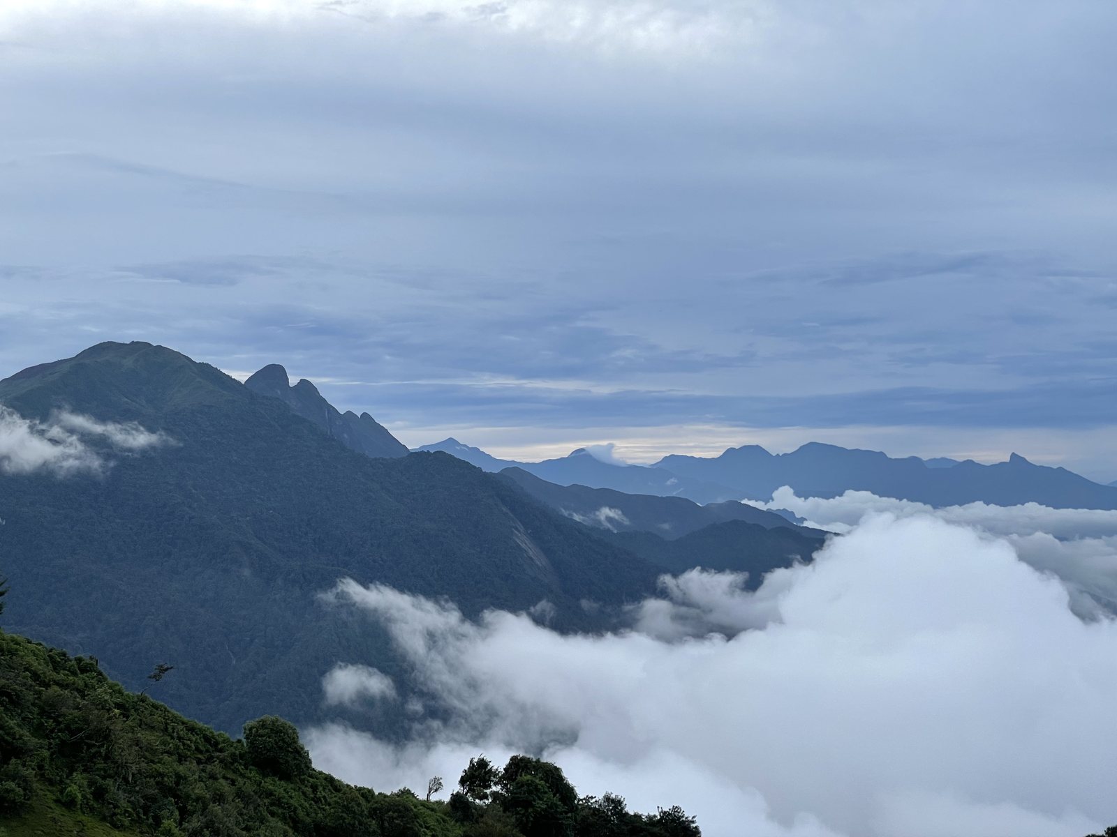 Biển mây