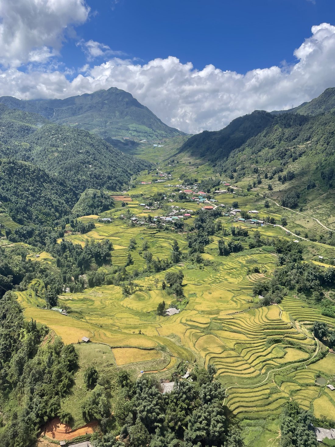 Ruộng bậc thang mùa vàng
