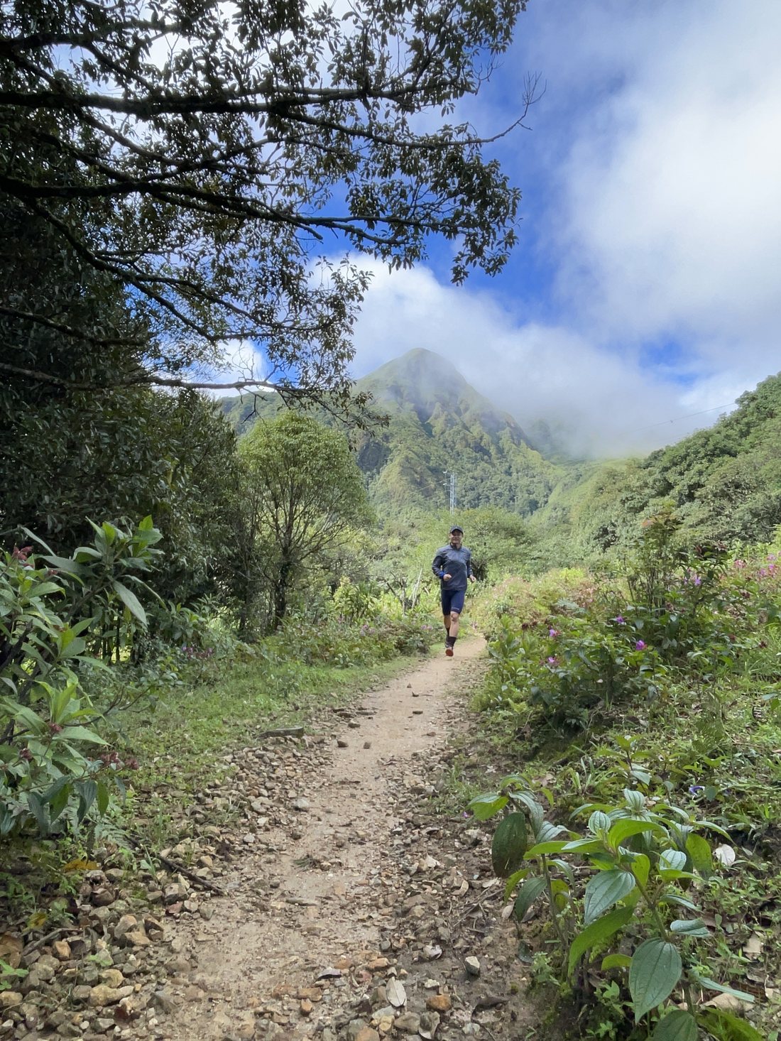 Trail xanh
